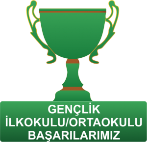 basarıgenclik