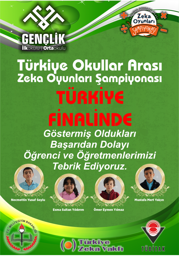 zeka oyunlarıFİNAL