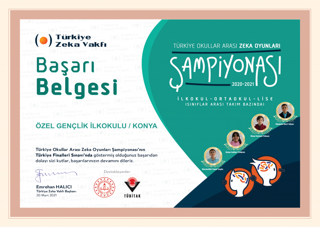 zeka oyunlarıbaskı32