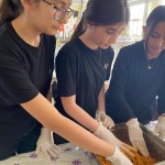 WhatsApp Image 2025-11-06 at 16.07.22 (1)