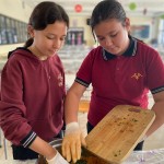 WhatsApp Image 2025-11-06 at 16.07.27 (1)