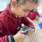 WhatsApp Image 2025-11-06 at 16.26.28