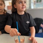 WhatsApp Image 2025-11-06 at 16.26.30 (3)