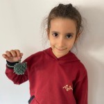 WhatsApp Image 2025-11-06 at 16.27.01