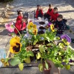 WhatsApp Image 2025-11-07 at 15.24.41