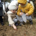 SAMSUNG CAMERA PICTURES