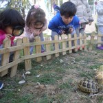 SAMSUNG CAMERA PICTURES