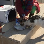 2017-02-20-PHOTO-00000289