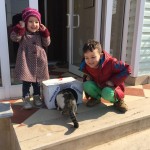 2017-02-20-PHOTO-00000290