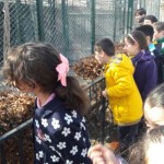 Hayvanat Bahçesi Gezi 08.03.2017 (13)