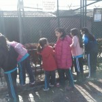 Hayvanat Bahçesi Gezi 08.03.2017 (3)