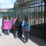 Hayvanat Bahçesi Gezi 08.03.2017 (9)