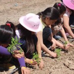 18451551_1490065411011837_2897736236631773033_o