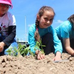 18489560_1490064614345250_7977330578274915745_o