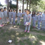 SAMSUNG CAMERA PICTURES