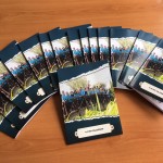 4-A ‘NIN KALEMİNDEN (4)