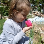 SAMSUNG CAMERA PICTURES