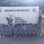 Kelebekler Vadisi 12.10.2017 (12)