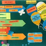 rehberlik tanıtımı pano-1