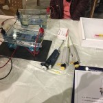 a1dc06e9-993d-402e-86b4-9187792bde9a