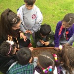 Tohum Ekimi 10.04.2018 (2)