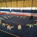 Cimnastik 10.11.2017 (5)