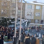 WhatsApp Image 2019-01-12 at 14.17.28