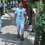 WhatsApp Image 2019-11-02 at 08.11.39