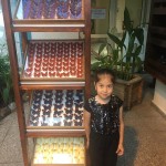 WhatsApp Image 2019-11-02 at 08.11.59 (1)