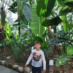 WhatsApp Image 2019-11-02 at 08.15.56