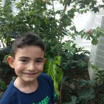 WhatsApp Image 2019-11-02 at 08.17.11