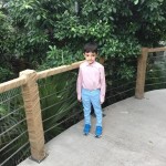 WhatsApp Image 2019-11-02 at 08.17.59