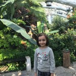 WhatsApp Image 2019-11-03 at 17.28.12