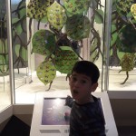 WhatsApp Image 2019-11-04 at 14.09.00