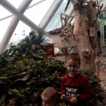 WhatsApp Image 2019-11-04 at 14.09.04 (1)