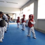 Taekwando Kulübü (2)