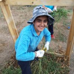 72624931_2732241723460860_8687425281557790720_o