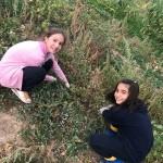 73388340_2731028526915513_8443165178559725568_n