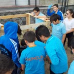 73403967_2731029650248734_4229421490858098688_n