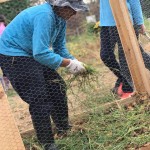 74382781_2732241946794171_7281232759551426560_n