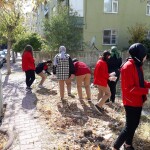 3a8ca355-ab55-4a38-9033-7875ba3b0934