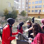 7227c224-91db-4e0b-8b67-90c6d12730aa