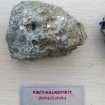 WhatsApp Image 2021-10-11 at 15.55.11