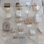 WhatsApp Image 2021-10-11 at 15.55.12