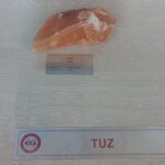 WhatsApp Image 2021-10-11 at 15.55.14 (1)