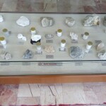 WhatsApp Image 2021-10-11 at 15.55.14