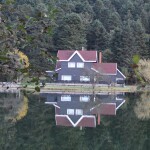 WhatsApp Image 2021-11-23 at 09.14.44 (3)