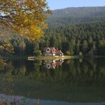 WhatsApp Image 2021-11-23 at 09.14.44 (5)