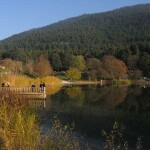 WhatsApp Image 2021-11-23 at 09.14.44 (6)