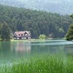 WhatsApp Image 2021-11-23 at 09.14.45